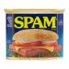 World Market Spam Classic Canned Meat 2 World Market Spam Classic Canned Meat -Food & Drink Shop unnamed file 2070