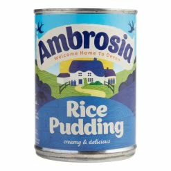 World Market Ambrosia Rice Pudding Set of 2