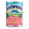 World Market Ambrosia Strawberry Devon Custard Set of 2 -Food & Drink Shop unnamed file 2599