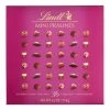 World Market Lindt Assorted Mini Praline Chocolates Box -Food & Drink Shop unnamed file 283