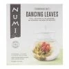 World Market Numi Dancing Leaves Flowering Tea and Glass Teapot Set -Food & Drink Shop unnamed file 499