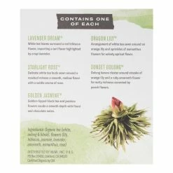 World Market Numi Dancing Leaves Flowering Tea and Glass Teapot Set -Food & Drink Shop unnamed file 501